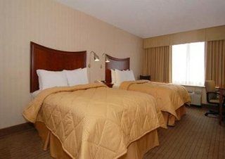 Comfort Downtown Inn Detroit