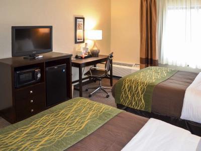 Comfort Downtown Inn Detroit