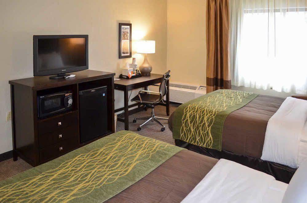 Comfort Downtown 2* Detroit